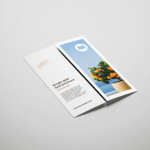 Tri-fold Flyer