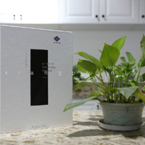 Lexiang 3 Pages Stone Sample Book